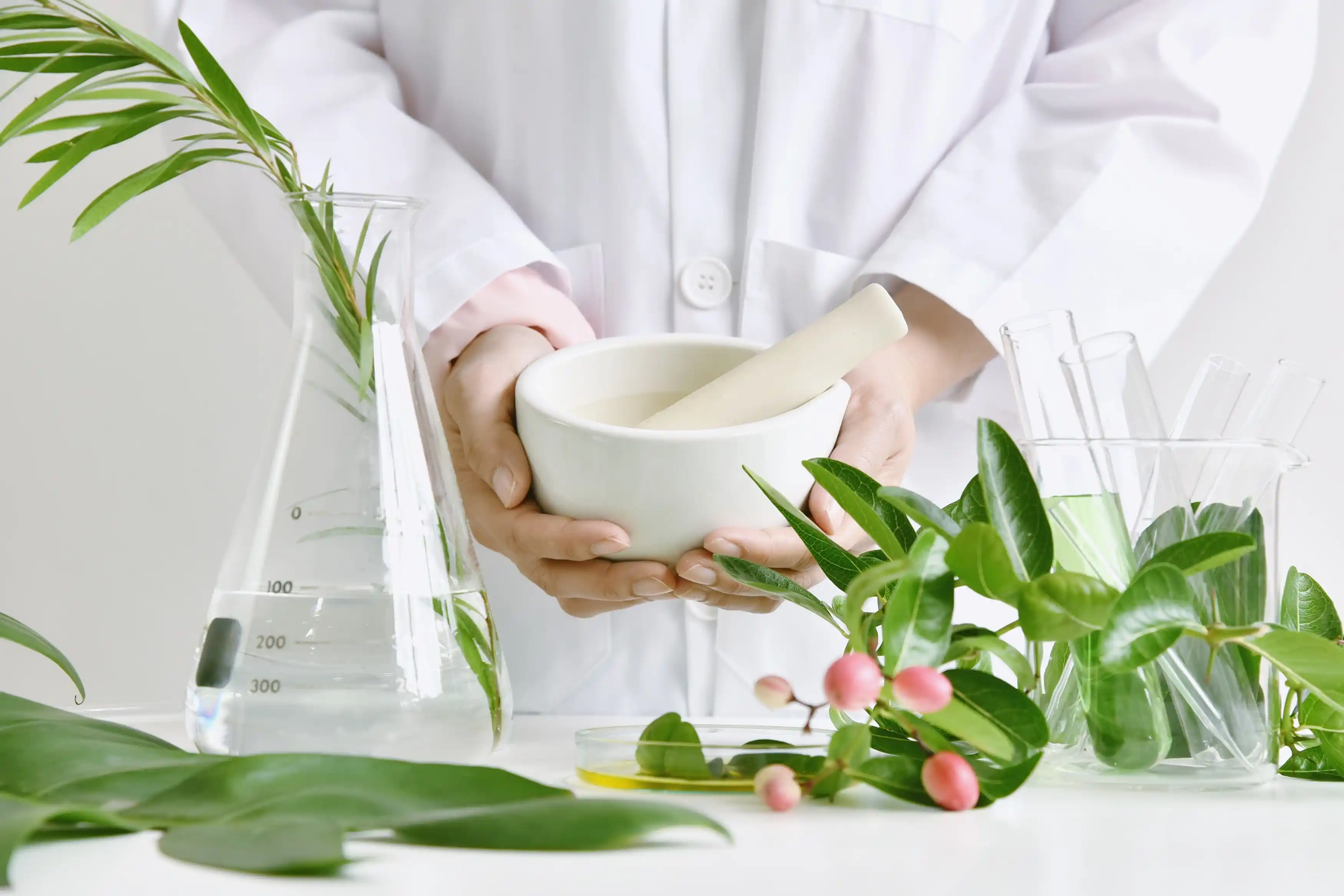 The Benefits of Medicines from Natural Materials: Exploring the Medicine Potential from Nature