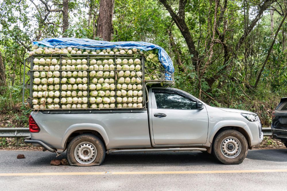 Pickup Truck Rental Business: A Profitable Opportunity to Consider