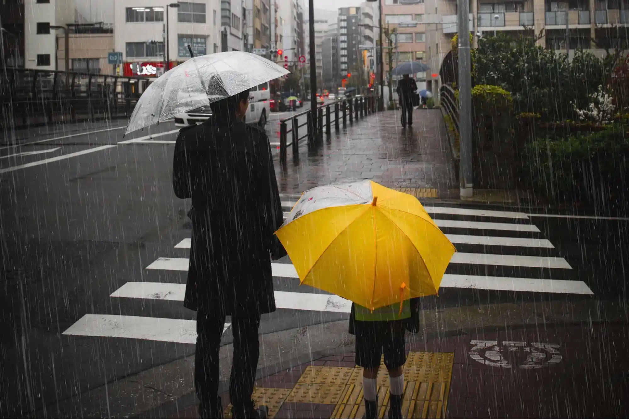 Entering the Rainy Season: What You Can Do to Maintain Health
